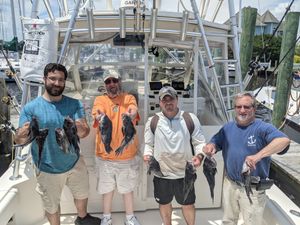 Black Sea Bass Charter July 2022 Season 